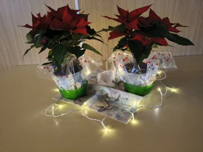 Foto des Albums: Unser Adventsfrühstück