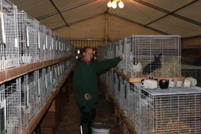 Foto des Albums: Kleintierschau 2024