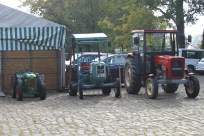 Foto des Albums: Kleintierschau 2024