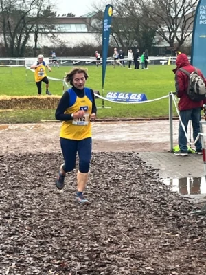 Foto des Albums: Cross DM 2026