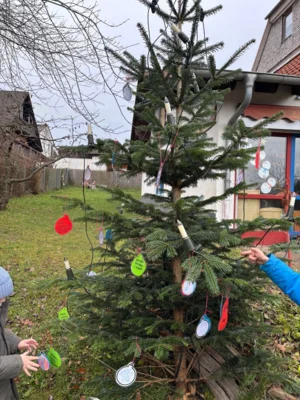 Foto des Albums: Wunschbaum Gelnhaar