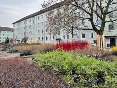 Foto des Albums: Modellquartier am Külzberg: Pflanzarbeiten haben begonnen I Fotos: Martin Ferch