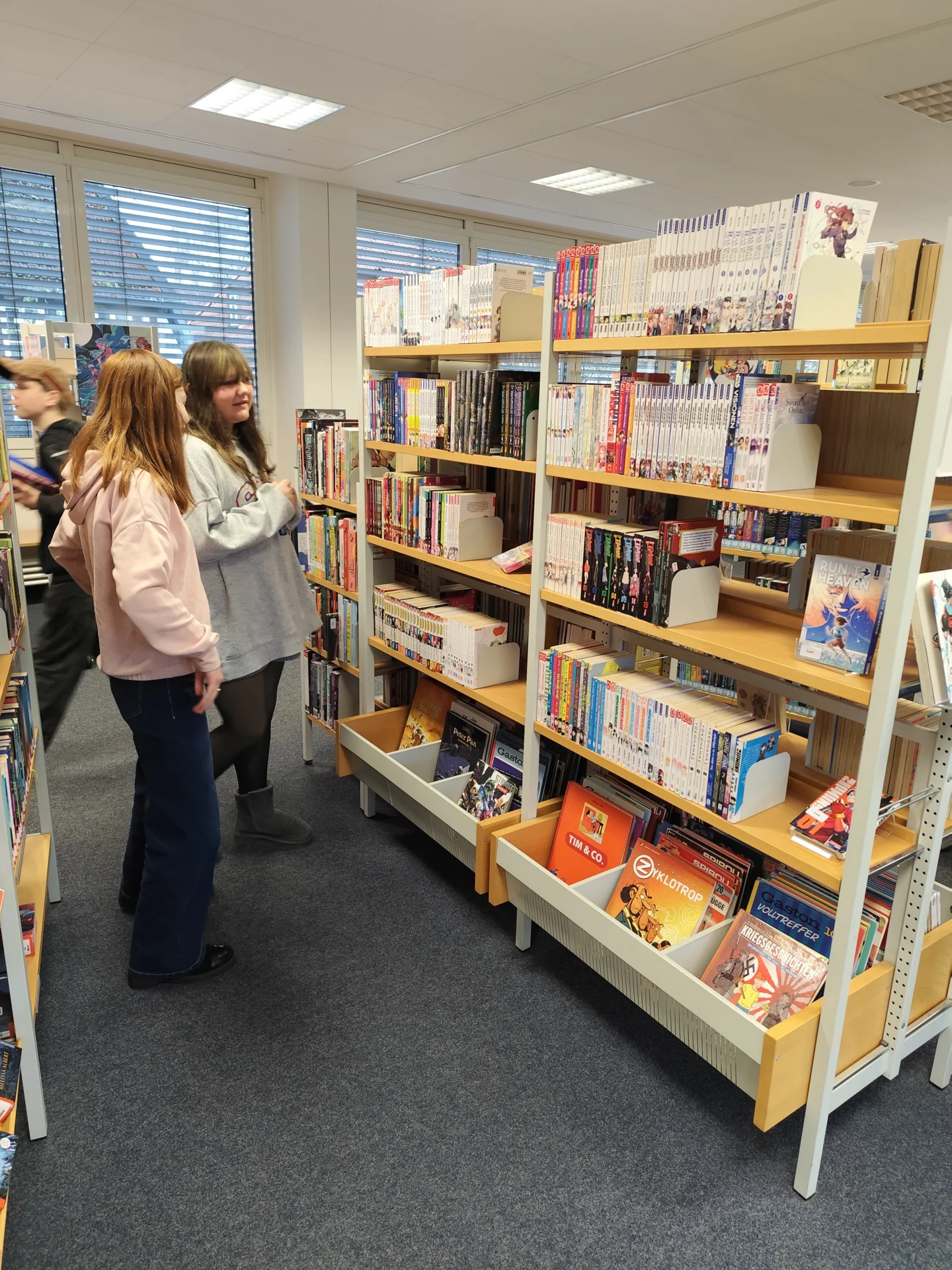 Bild der Galerie
