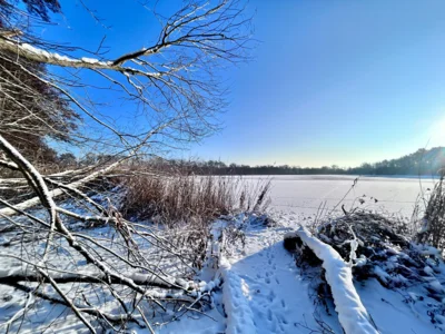 Foto des Albums: Winterzeit in Falkensee - Schnappschüsse aus der Gartenstadt