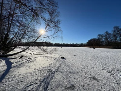 Foto des Albums: Winterzeit in Falkensee - Schnappschüsse aus der Gartenstadt
