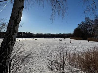 Foto des Albums: Winterzeit in Falkensee - Schnappschüsse aus der Gartenstadt