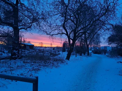 Foto des Albums: Winterzeit in Falkensee - Schnappschüsse aus der Gartenstadt