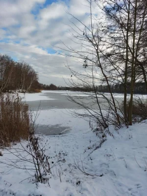 Stadt Falkensee - der Neue See  (Bild vergr&ouml;&szlig;ern)