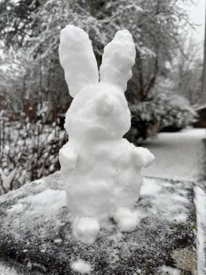Familie Haase - ein Schneehase  (Bild vergr&ouml;&szlig;ern)
