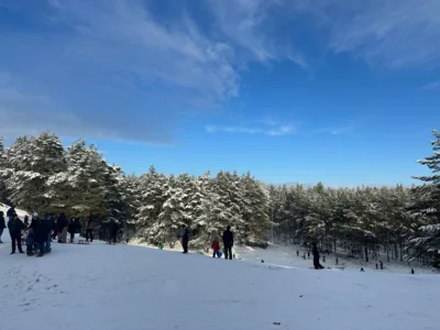Foto des Albums: Winterzeit in Falkensee - Schnappschüsse aus der Gartenstadt
