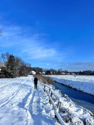 Familie Scheich - Winterwalk am Graben  (Bild vergr&ouml;&szlig;ern)