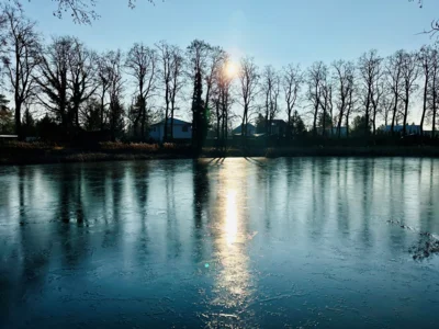 Tanja Marotzke - Lindenweiher  (Bild vergr&ouml;&szlig;ern)