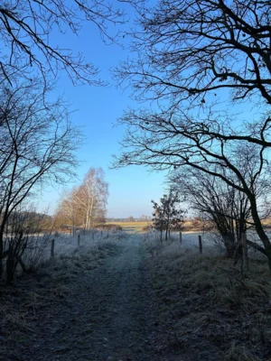 Andreas Edel - Wald- und Wiesenweg  (Bild vergr&ouml;&szlig;ern)