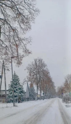 Familie Groetsch - die Kanstra&szlig;e im Winterkleid  (Bild vergr&ouml;&szlig;ern)