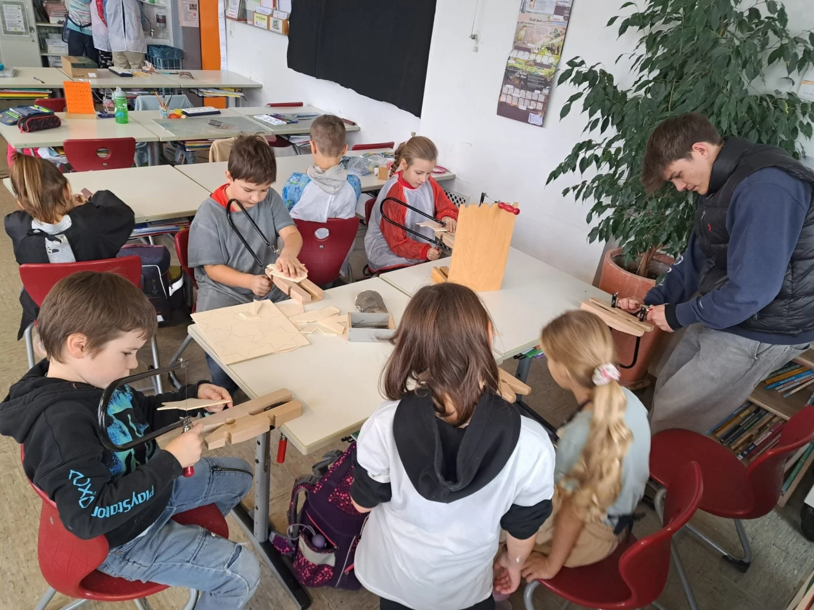 Bild der Galerie