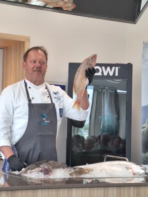 Foto des Albums: Fischlehrküche u. 