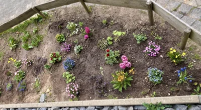Foto des Albums: Neue Blumenbeete angelegt