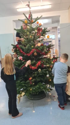 Foto des Albums: Weihnachtsbaum schmücken
