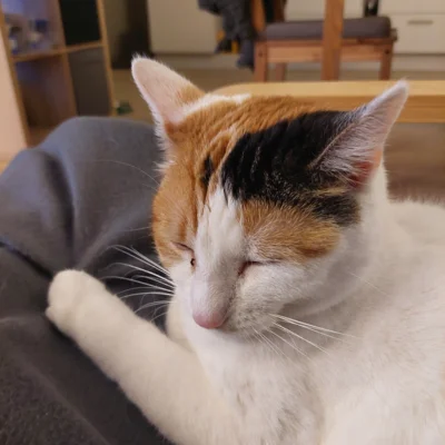 Foto des Albums: Minnie und Turbo