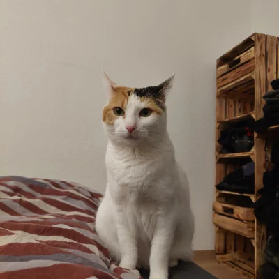 Foto des Albums: Minnie und Turbo