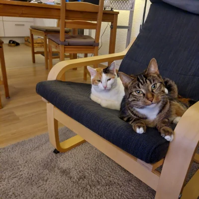 Foto des Albums: Minnie und Turbo