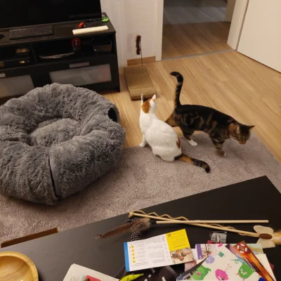 Foto des Albums: Minnie und Turbo