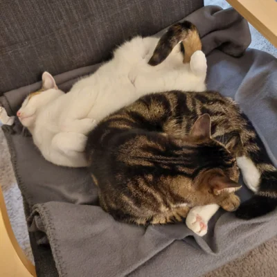 Foto des Albums: Minnie und Turbo