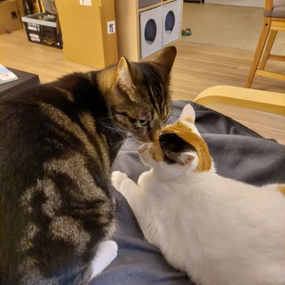 Foto des Albums: Minnie und Turbo