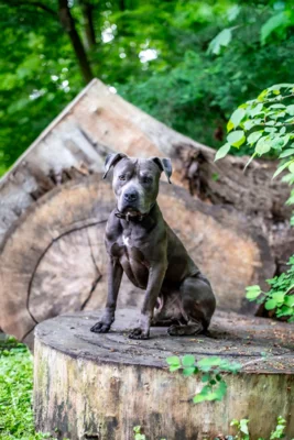 Foto des Albums: Minnie und Turbo