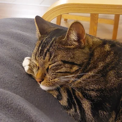 Foto des Albums: Minnie und Turbo