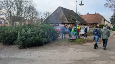 Foto des Albums: Adventsmarkt Marnitz 2025