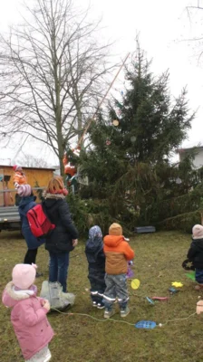 Foto des Albums: Weihnachtsbaum schmücken in Sülstorf 2025