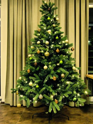 Foto des Albums: Weihnachtsfeier 2025