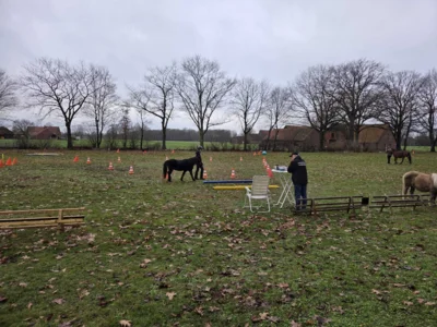 Foto des Albums: Zweites Dressurtraining Lehrgang 2025