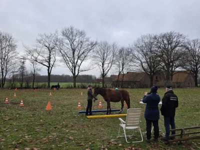 Foto des Albums: Zweites Dressurtraining Lehrgang 2025