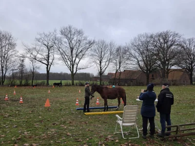 Foto des Albums: Zweites Dressurtraining Lehrgang 2025