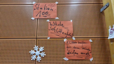 Die wilde Rodelbahn  (Bild vergr&ouml;&szlig;ern)