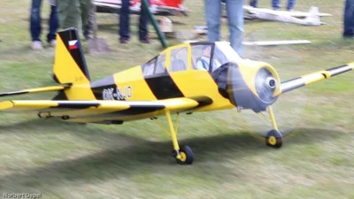 Foto des Albums: Sommerfest 2013