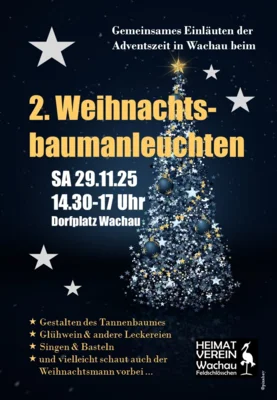 Foto des Albums: 2. Weihnachtsbaum-Anleuchten