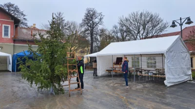 Foto des Albums: 2. Weihnachtsbaum-Anleuchten
