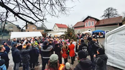 Foto des Albums: 2. Weihnachtsbaum-Anleuchten