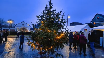 Foto des Albums: 2. Weihnachtsbaum-Anleuchten