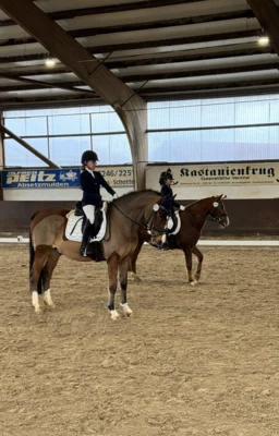 Foto des Albums: WBO Jugendturnier 2025