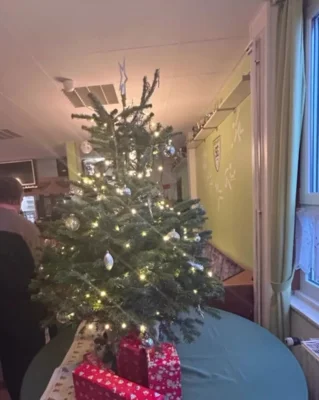 Geschm&uuml;ckter Weihnachtsbaum  (Bild vergr&ouml;&szlig;ern)