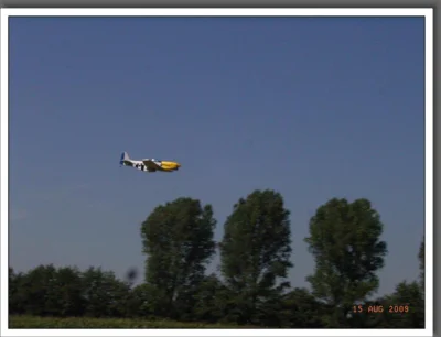 Foto des Albums: Sommerfest 2009