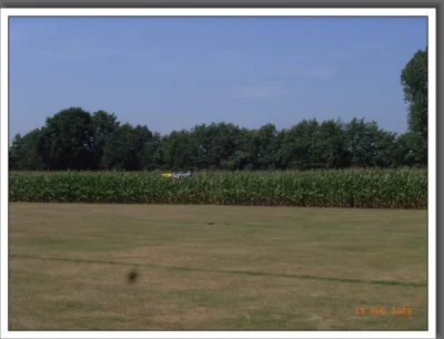 Foto des Albums: Sommerfest 2009