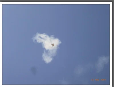 Foto des Albums: Sommerfest 2009