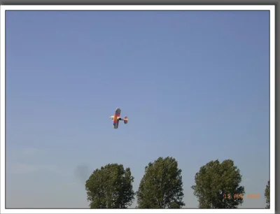 Foto des Albums: Sommerfest 2009
