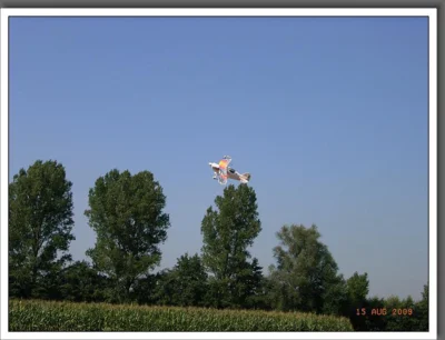 Foto des Albums: Sommerfest 2009