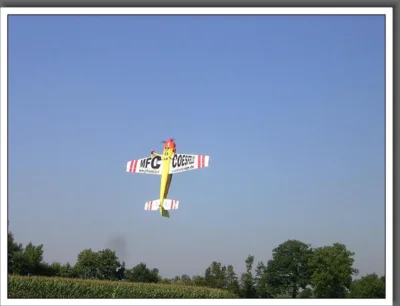 Foto des Albums: Sommerfest 2009
